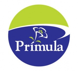 G PRÍMULA - PRODUTOS DE LIMPEZA